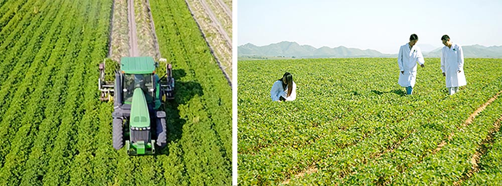 遼寧正業(yè)花生產(chǎn)業(yè)：共抗疫情，龍頭企業(yè)顯擔(dān)當(dāng)！(圖3)