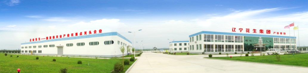 葫蘆島市委常委、副市長張明謙蒞臨遼寧花生集團(tuán)考察指導(dǎo)(圖3)
